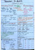 Transport in plants.pdf